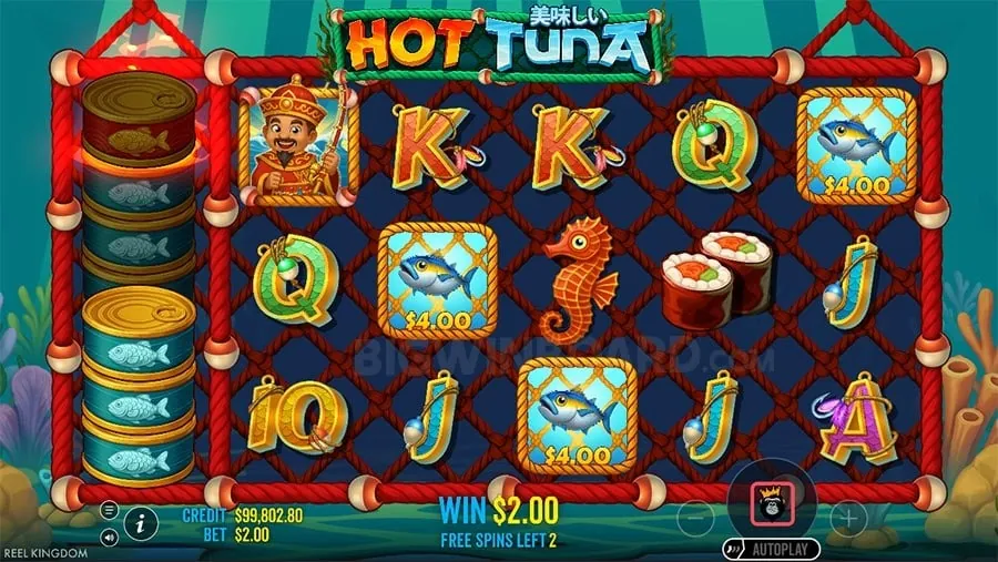 bingo plus com login Responsible Gambling Practices